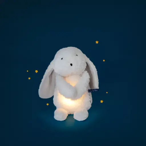 [Moulin Roty-684030] Puce & Pilou - Lapin lumineux