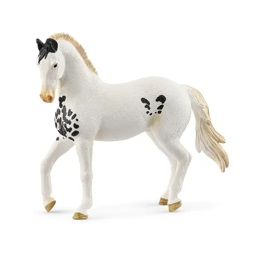 [Schleich-14898] Etalon Marwari