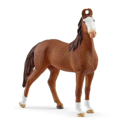 [Schleich-14897] Jument Marwari 