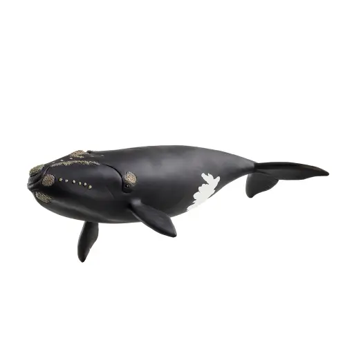 [Schleich-14878] Baleine de l'Atlantique