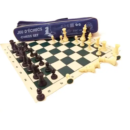 [wilson-ech21021] ECHECS CLUB 50CM