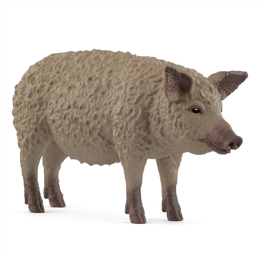 [Schleich 14892] COCHON MANGALICA