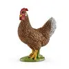 [puppy - 13826] Poule