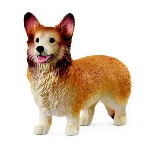 [puppy - 13999] Chien Welsh Corgi