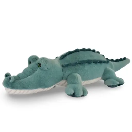 [groupe d&c-HO3331] CROCO LAGOON 125 cm