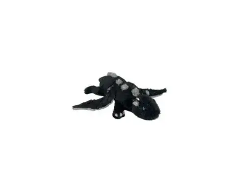 Dragon taille S 