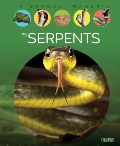 [9782215194392] La grande imagerie - Les serpents 