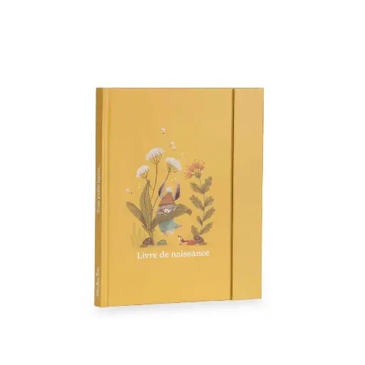 [Moulin Roty-678085] Livre de naissance Trois petits lapins (80 pages)